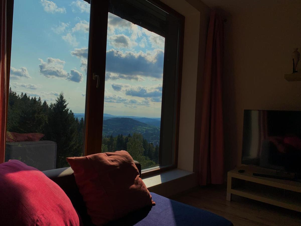 Svadlenka Apartment *