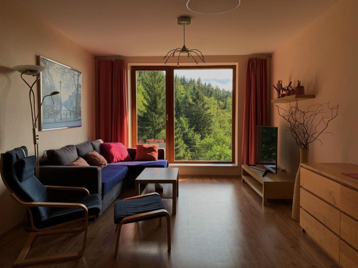 Apartment Svadlenka Rokytnice nad Jizerou