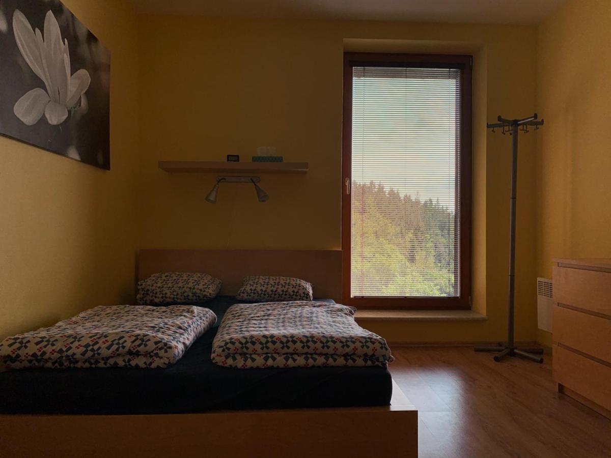 Apartment Svadlenka