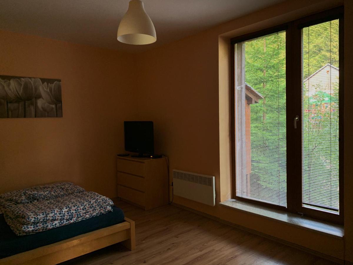 Svadlenka Apartment Rokytnice nad Jizerou