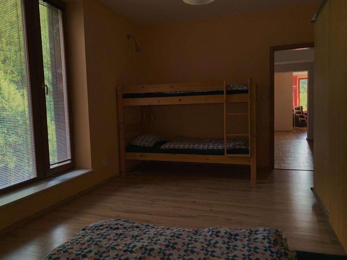 Apartment Svadlenka *